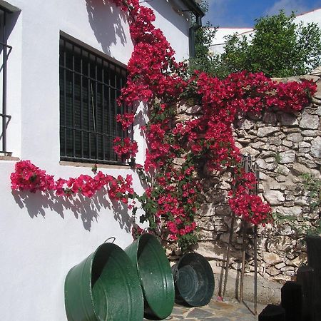 Casa Rural Y Restaurante Casa Adriano Guest House Alanis Exterior photo