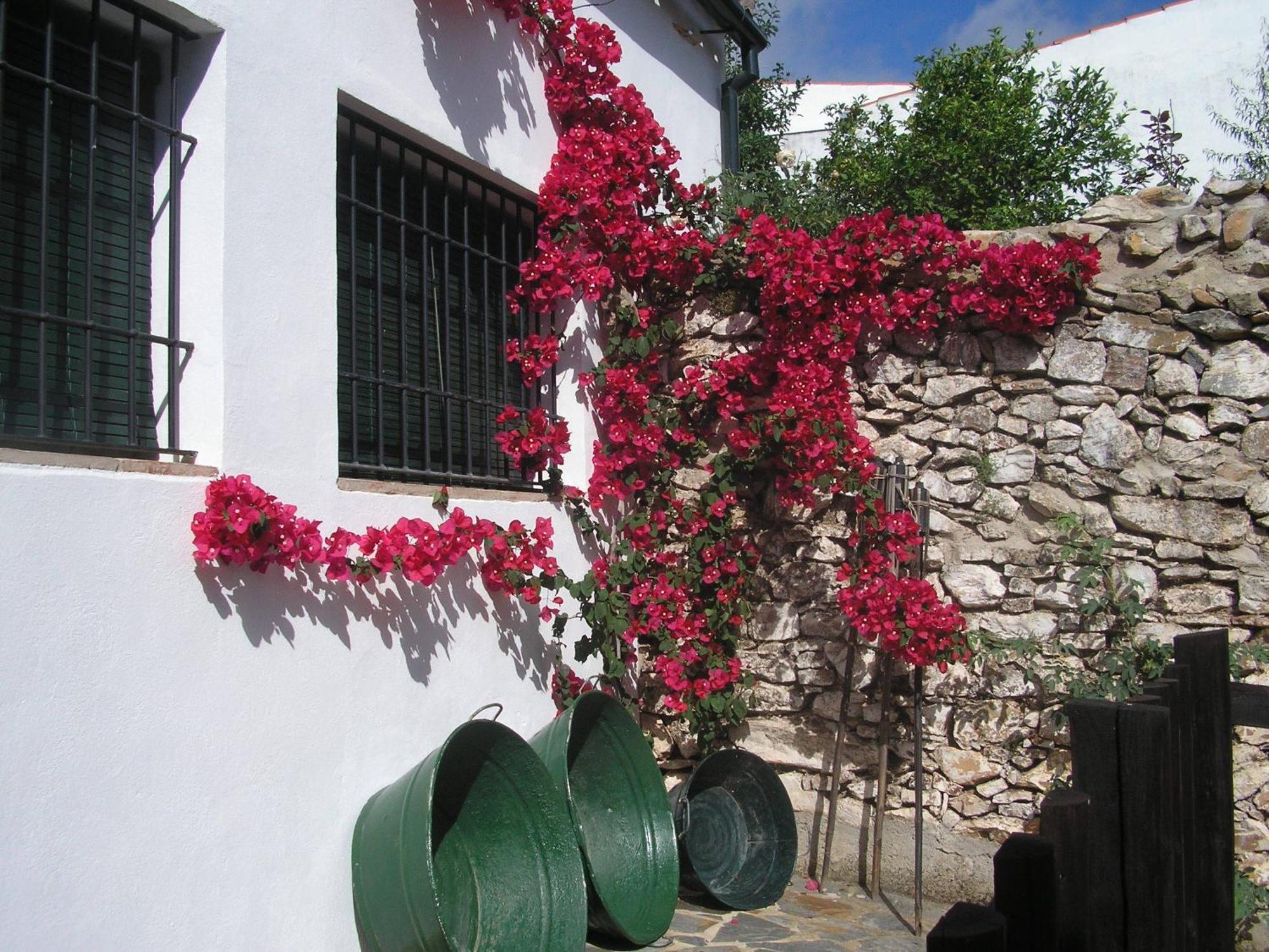 Casa Rural Y Restaurante Casa Adriano Guest House Alanis Exterior photo